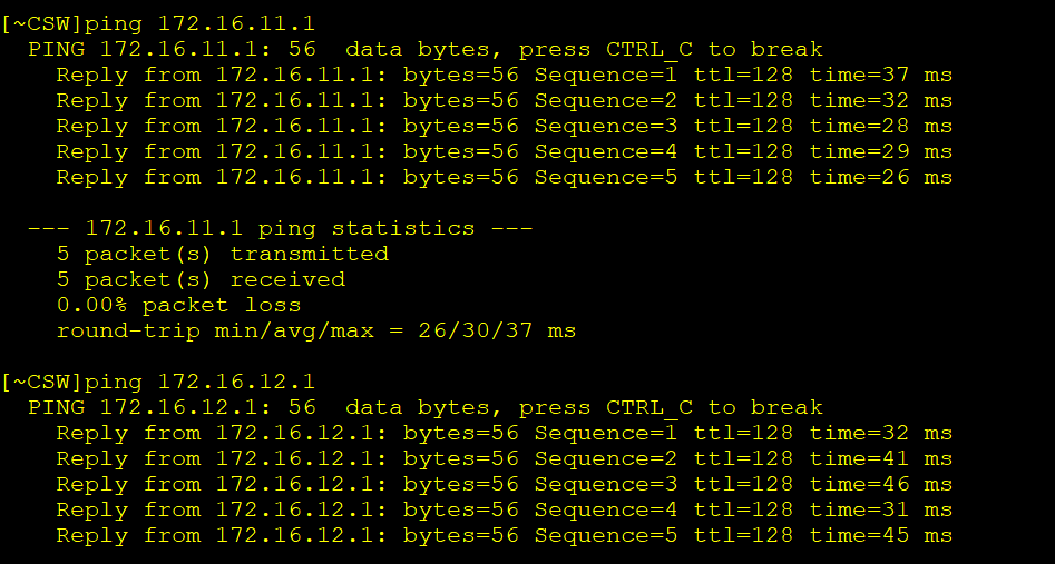 image-20250729164934900
